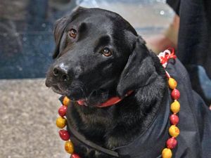 Image post by @rhodeislandcollege on Facebook