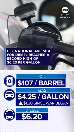 Video post by @abcnewslive on TikTok