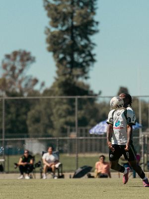 Image post by @vpheldin on Instagram