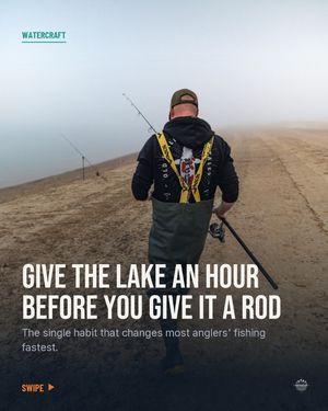 Image post by @brothercarp on Instagram