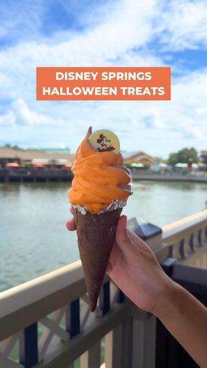 Image post by @experiencekissimmee on Instagram