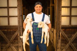 Image post by @EAMaddenNFL on Twitter