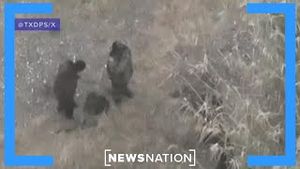 Video post by @newsnation on YouTube