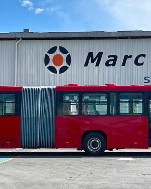Image post by @marcopolosuperpolocol on Instagram