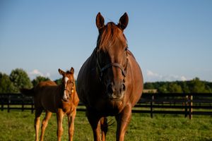 Image post by @coolmoreamerica on Instagram