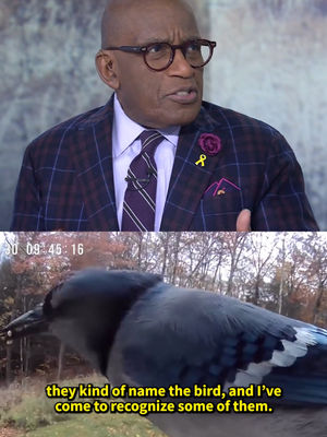 Video post by @todayshow on TikTok