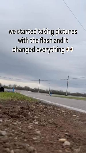 Video post by @roderickracingdevelopment on Facebook