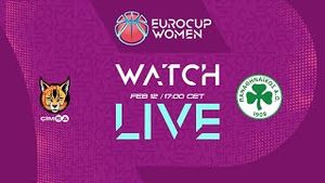 Video post by @fiba on YouTube