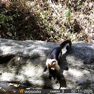 Image post by @fundacionloros on Instagram