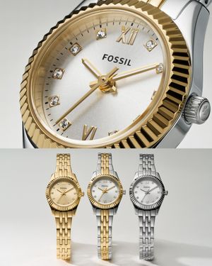 Image post by @fossil.id on Instagram
