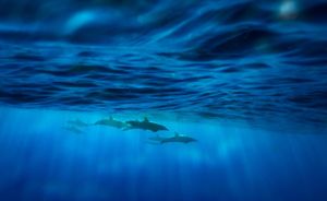 Image post by @natgeo on Instagram