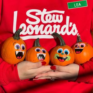 Image post by @stewleonards on Instagram