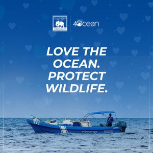 Image post by @4ocean on Instagram
