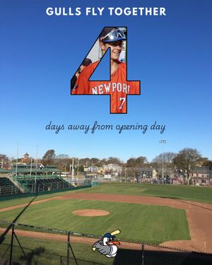 Image post by @newportgulls on Instagram