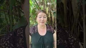 Video post by @edforg on YouTube