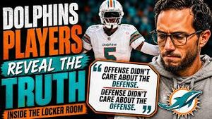 Video post by @dolphinstalk on YouTube