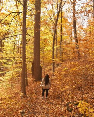 Image post by @visitbuckspa on Instagram