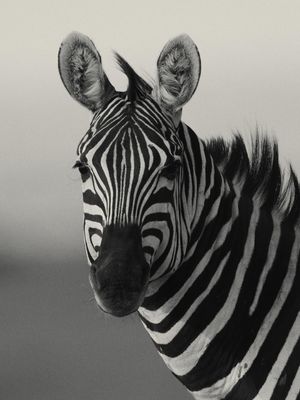 Image post by @jkh_photo on Instagram