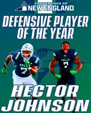Image post by @endicottfootball on Instagram