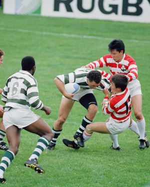 Image post by @rugbyworldcup on Instagram