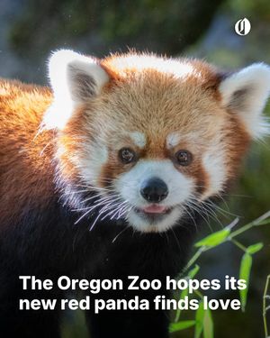 Image post by @theoregonian on Instagram