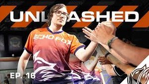 Video post by @echofox on YouTube