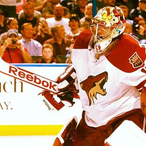 Image post by @arizonacoyotes on Instagram