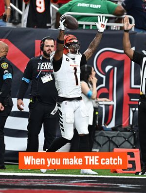 Image post by @bengals on Instagram