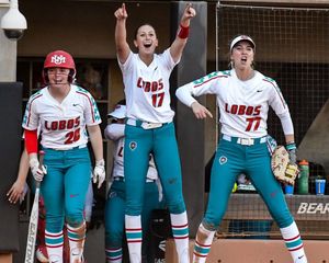 Image post by @unmlobosb on Instagram