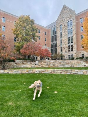 Image post by @bostoncollege on Instagram