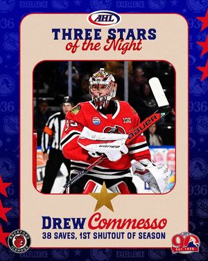 Image post by @theahl on Instagram