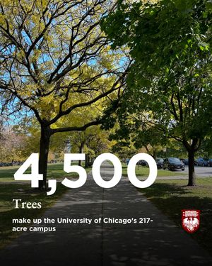 Image post by @uchicago on Instagram