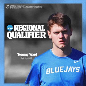 Image post by @bluejayxc on Instagram