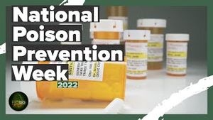 Video post by @mecksheriff on YouTube