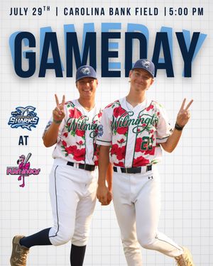 Image post by @ilmsharks on Instagram