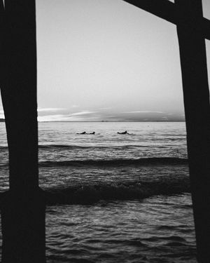 Image post by @through_yu on Instagram