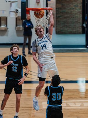 Image post by @nutimberwolves on Instagram