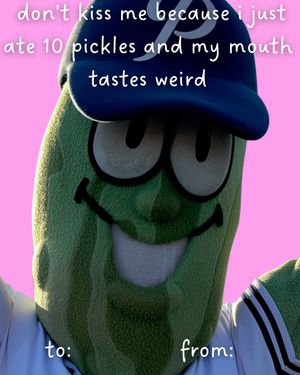 Image post by @picklesbaseball on Instagram