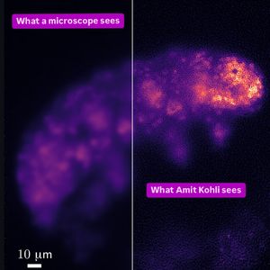 Image post by @biohub on Instagram