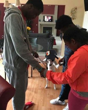 Image post by @fcaugsburgenglish on Facebook