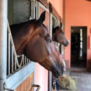 Image post by @sandro_tommasi on Instagram