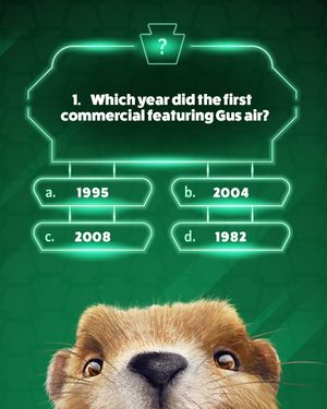 Image post by @palottery on Instagram