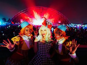 Image post by @beyondwland on Instagram