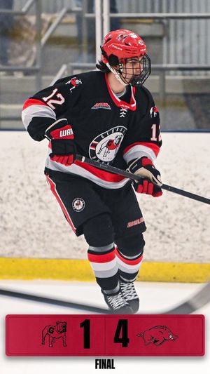 Image post by @UGAHockey on Twitter/X
