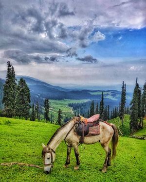 Image post by @solo_escapist on Instagram