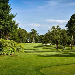 Image post by @sbgolfchamp on Instagram