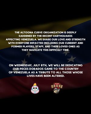 Image post by @altoonacurve on Instagram