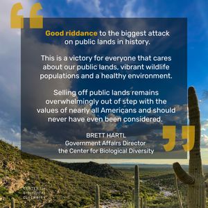 Image post by @centerforbiodiv on Instagram