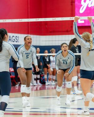 Image post by @ricevolleyball on Instagram