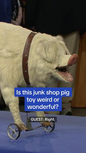Video post by @roadshowpbs on TikTok